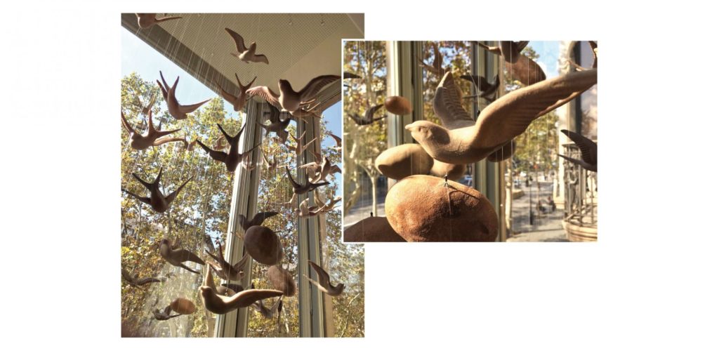 Golondrinas Passeig de Gràcia Massimo Dutti