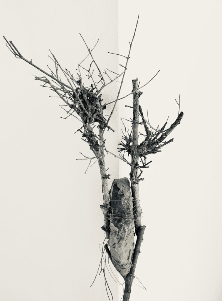 materiales-hablando-de-ramas-matias-panizo-d-gallery-4