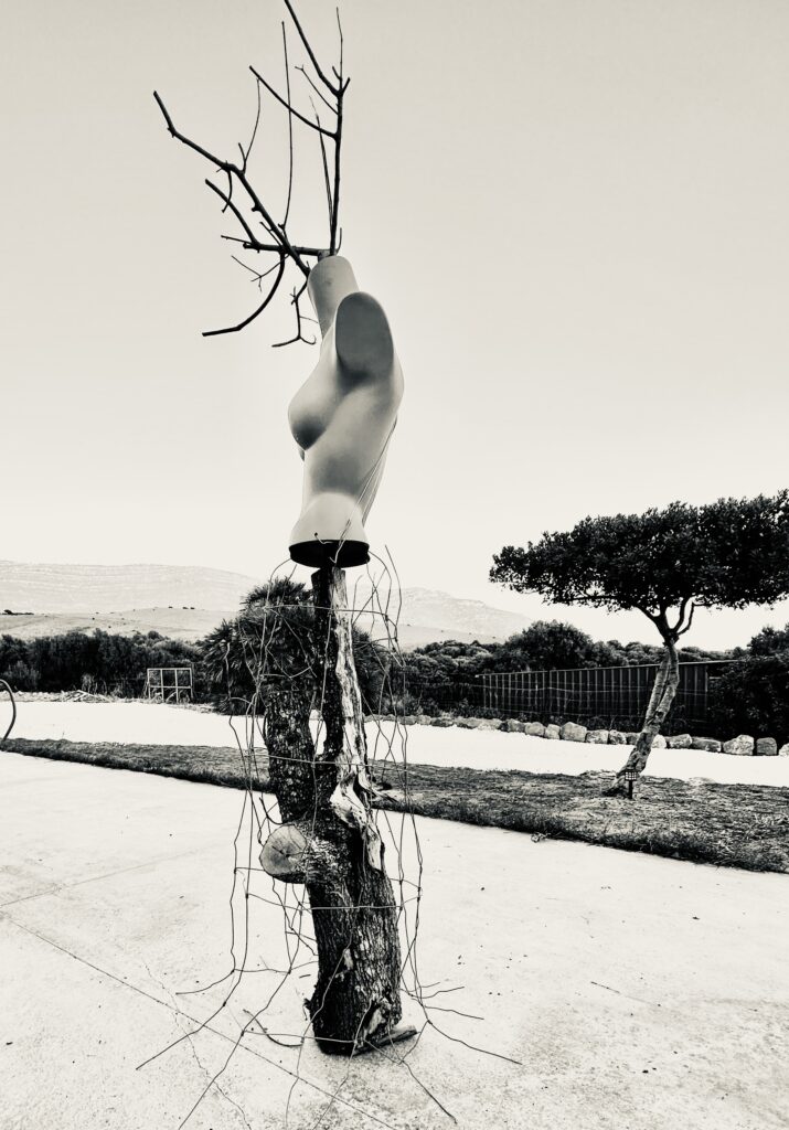 materiales-hablando-de-ramas-matias-panizo-d-gallery-3