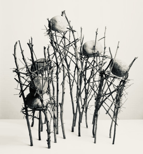 materiales-hablando-de-ramas-matias-panizo-d-gallery