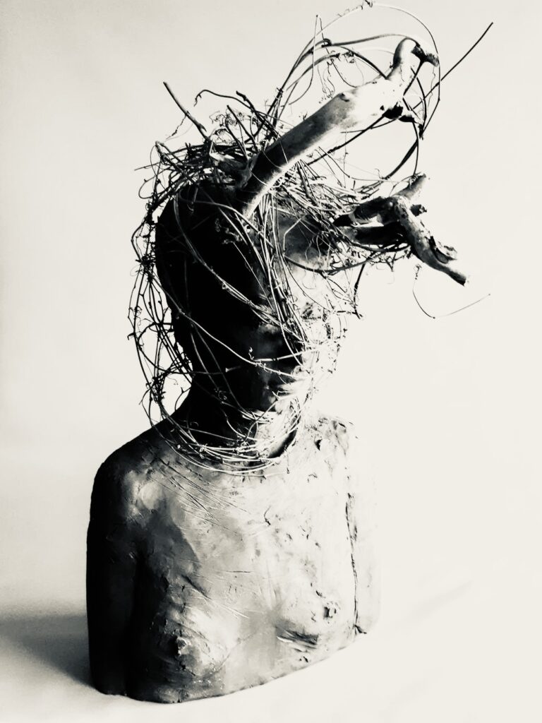 materiales-hablando-de-ramas-matias-panizo-d-gallery-2